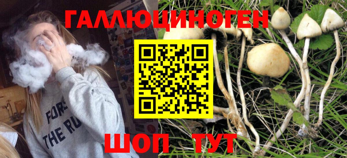Псилоцибиновые грибы прущие грибы  Галлюциногенные грибы Cubensis  Вход с VPN  Георгиевск 